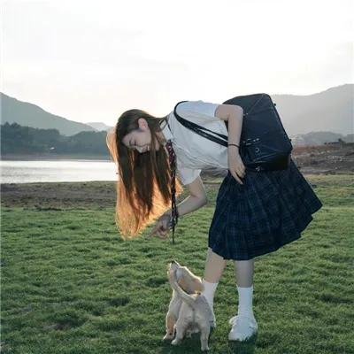 总统的蛋糕
